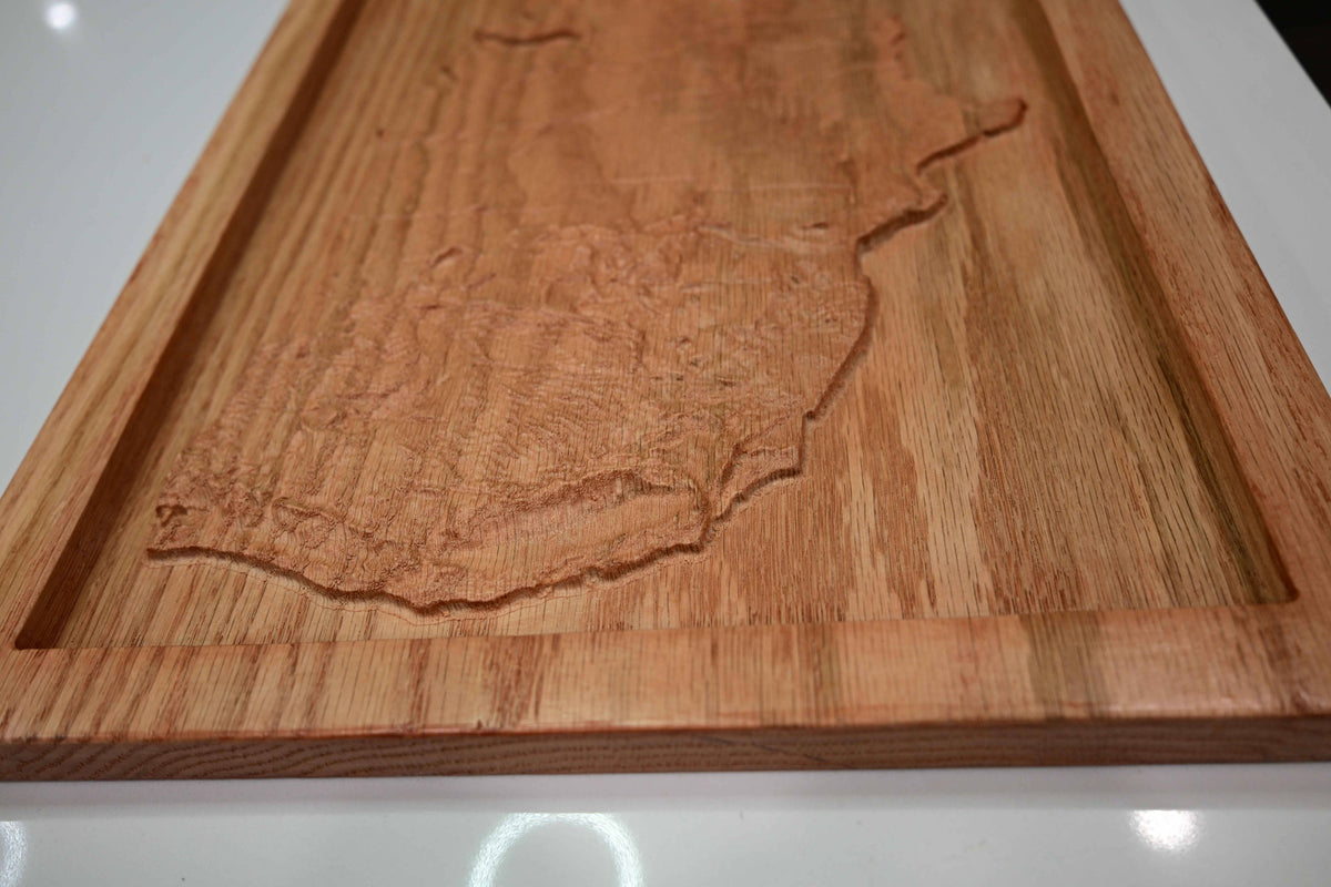 Topographical Continental United States Carving