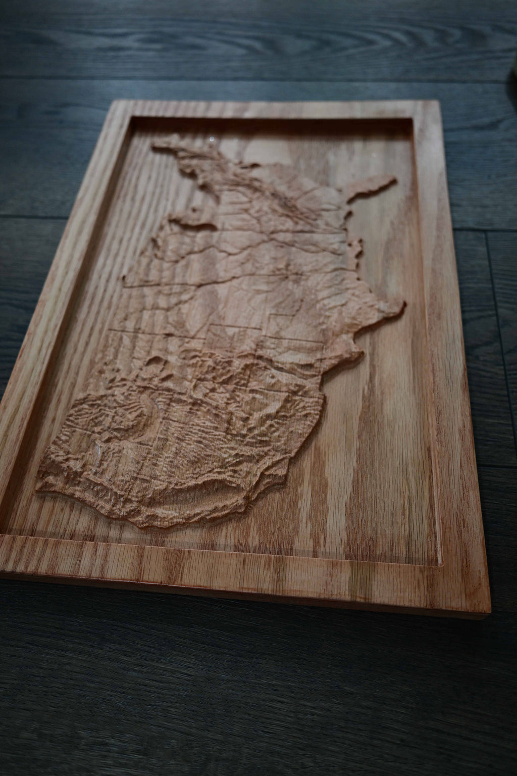 Topographical Continental United States Carving
