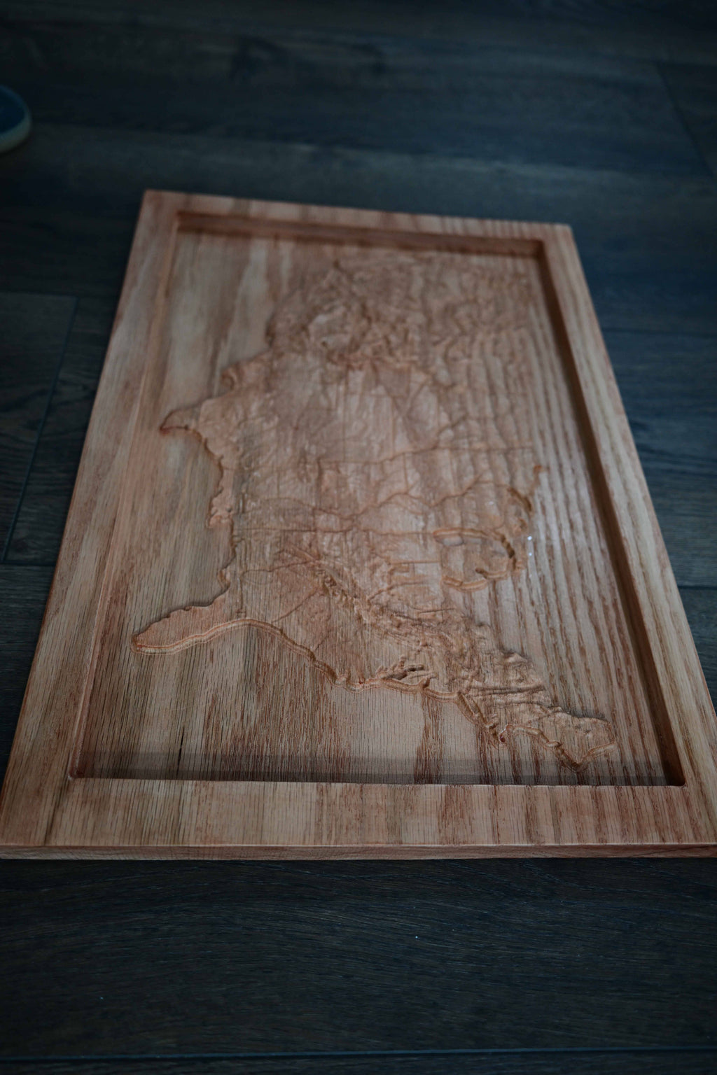 Topographical Continental United States Carving