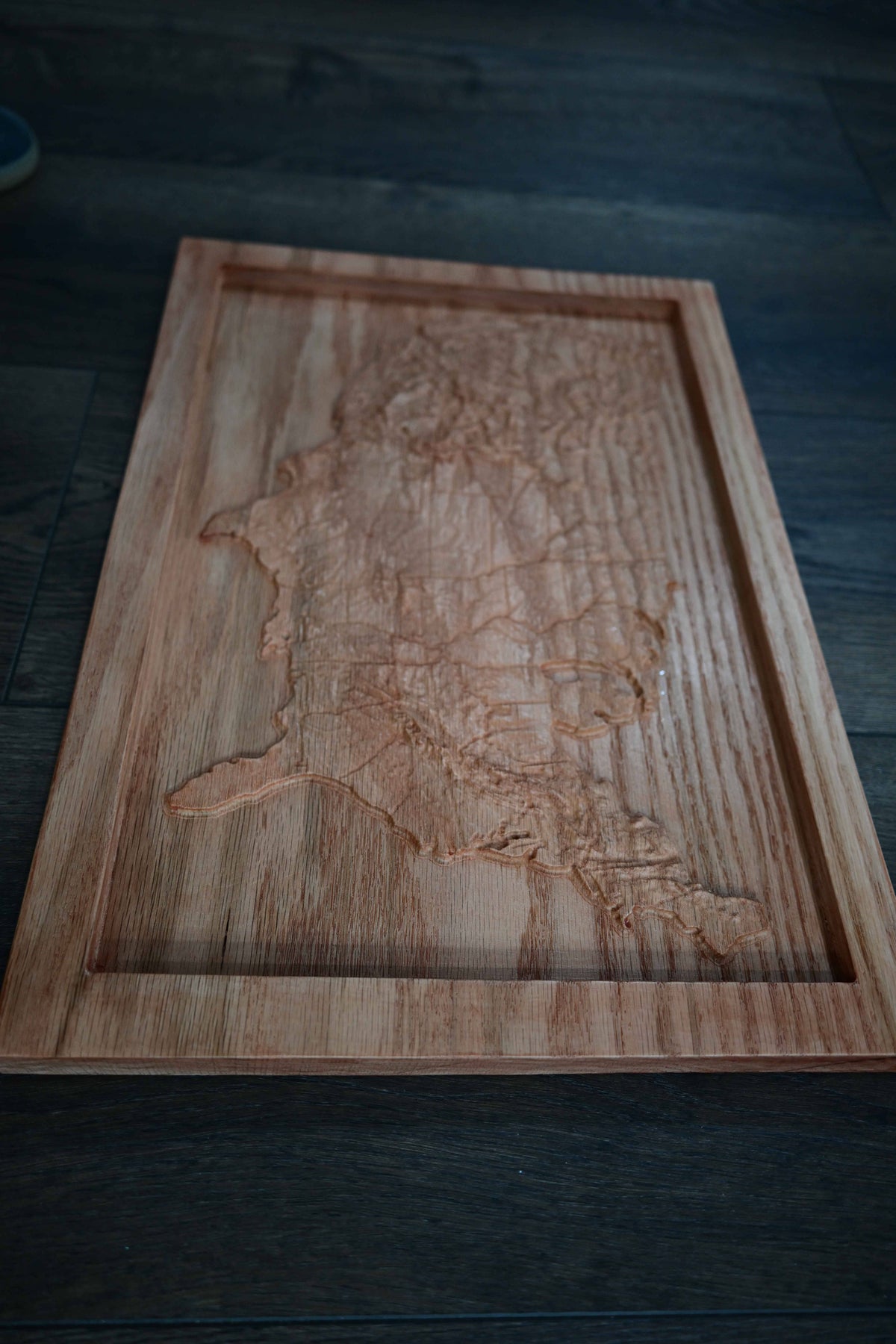 Topographical Continental United States Carving